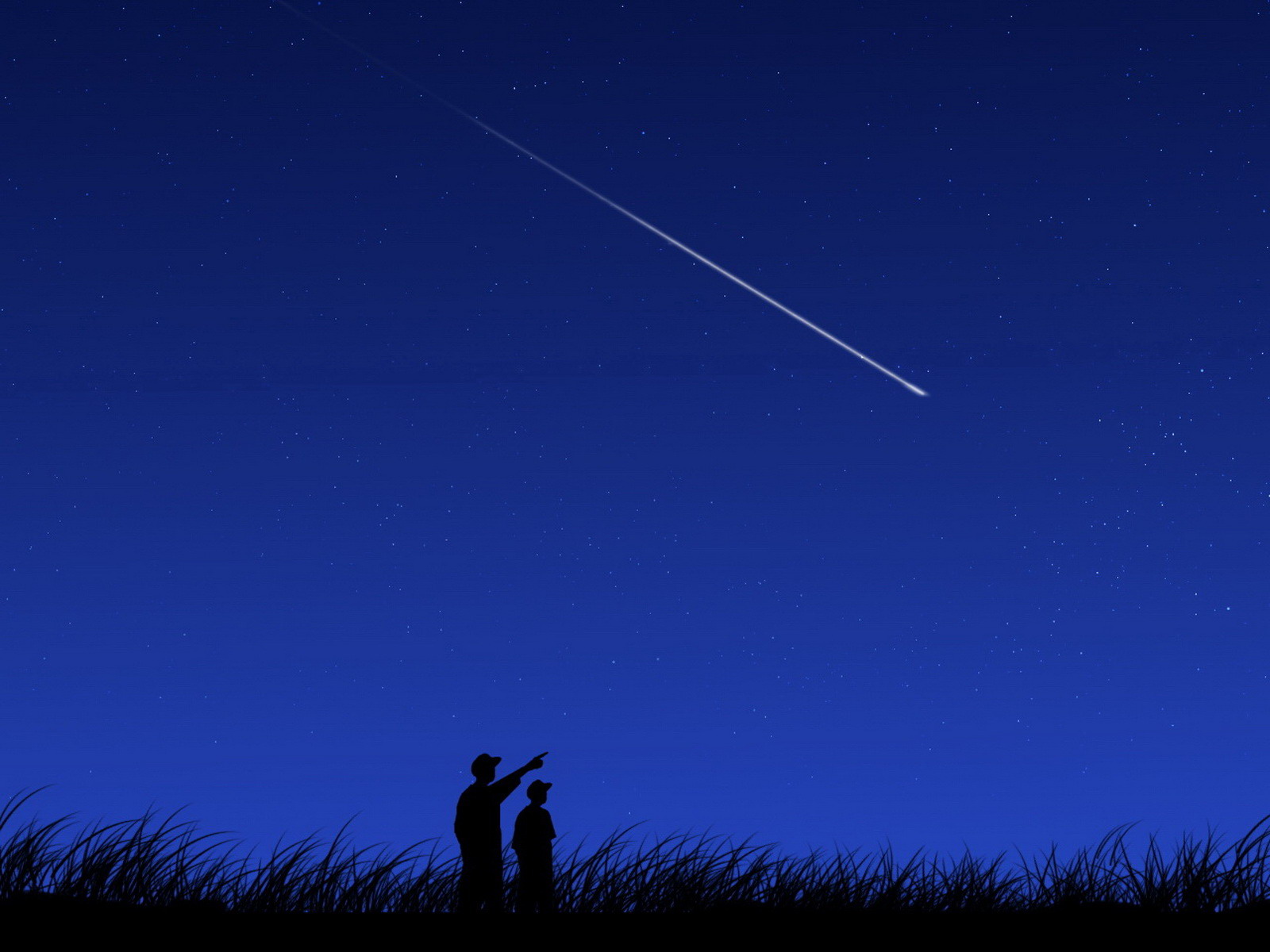 El espectáculo celestial: ¿Cuántas personas pueden ver una estrella fugaz?