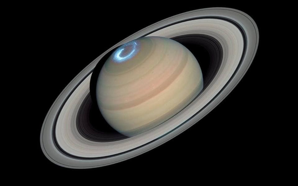 ¿Qué Animal Representa A Saturno?